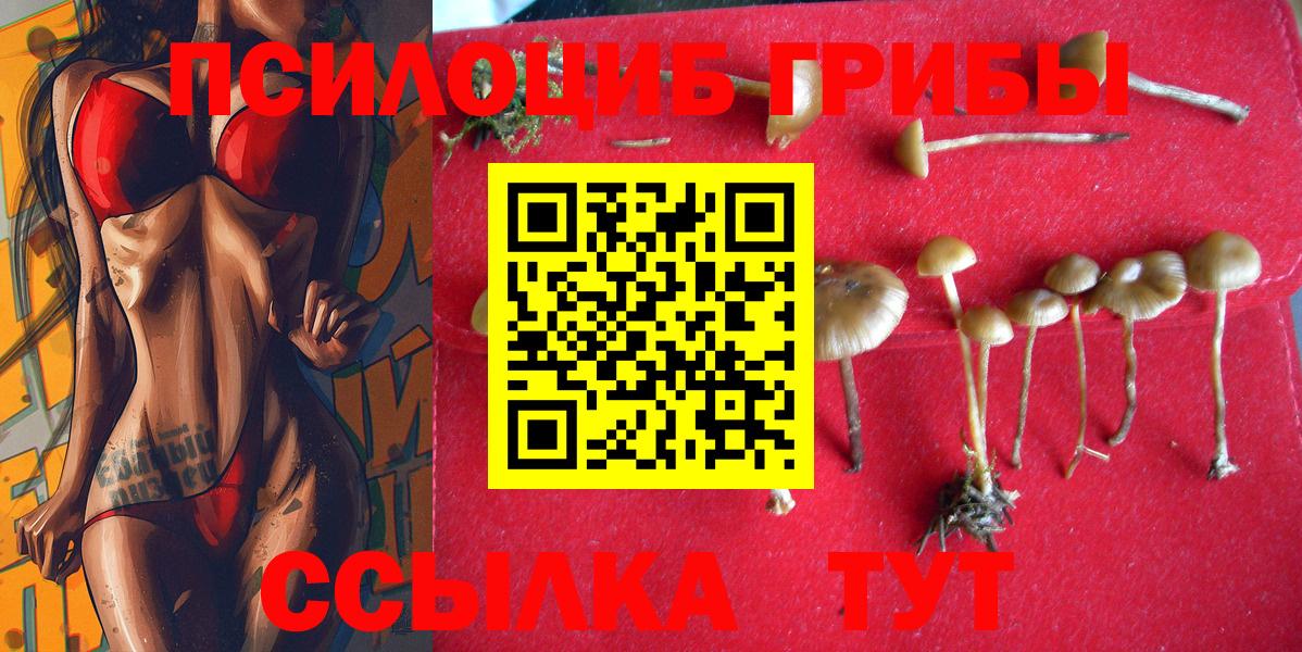 Галлюциногенные грибы мицелий Феодосия