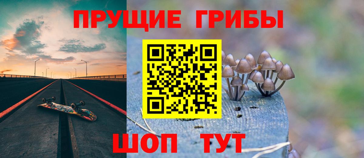 Феодосия  Псилоцибиновые грибы MAGIC MUSHROOMS  Вход с VPN 